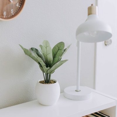 About nest interiors